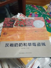 灰袍奶奶和草莓盗贼