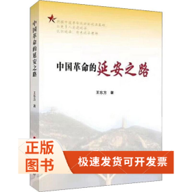 中國的延安之路