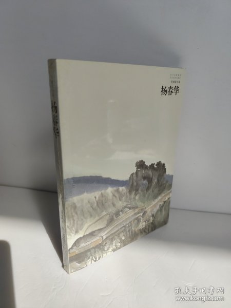 好画家书系.杨春华