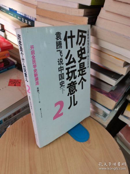 历史是个什么玩意儿2：袁腾飞说中国史下