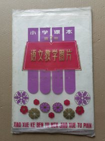 小学课本语文教学图片 第7册 16幅全