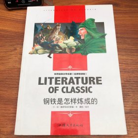 钢铁是怎样炼成的