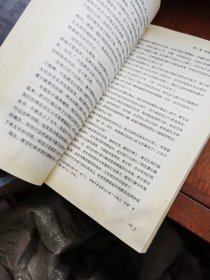 孤独的幸存者：美国特种部队“红翼行动”战记