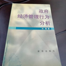 政府经济管理行为分析