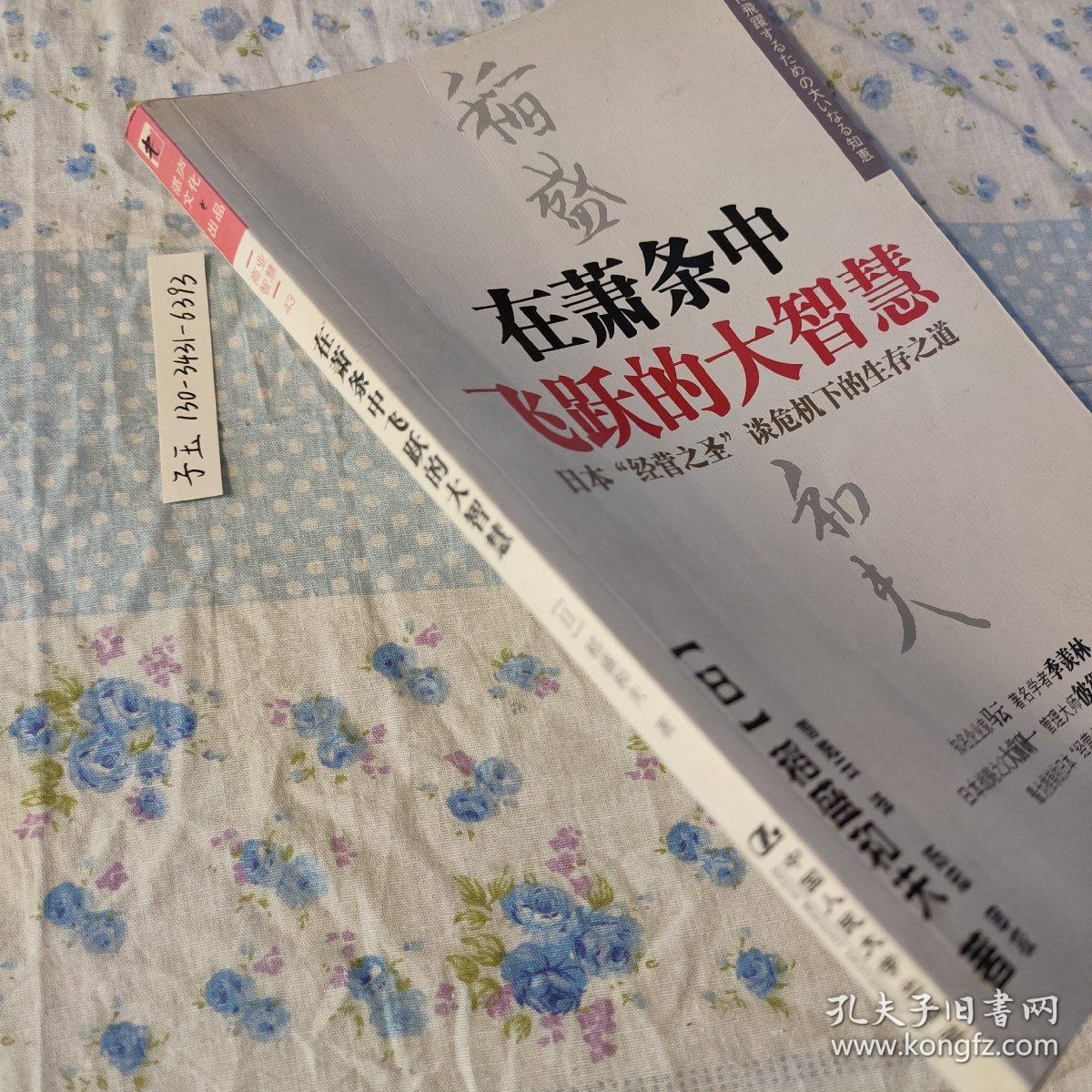 在萧条中飞跃的大智慧  大萧条 大智慧 [日]稻盛和夫 ；曹岫云  ISBN9787300107011