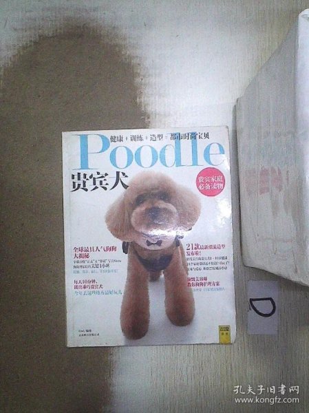 Poodle 贵宾犬