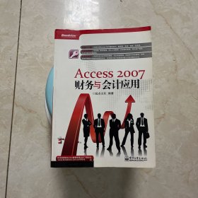 Access 2007财务与会计应用