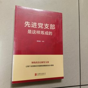 先进党支部是这样炼成的 正版全新代塑封