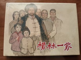杨林一家 上美32开精装连环画