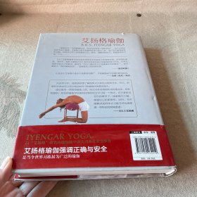 艾扬格瑜伽精准习练指南（艾扬格瑜伽习练经典，90岁高龄仍在传播瑜珈的导师亲授）