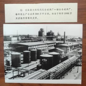 1983年，中国最大的合成革厂---烟台合成革厂(烟台万华化学集团前身)建成投产