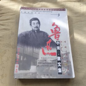 鲁迅作品选：小说·散文集 论文·杂文集