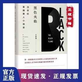 黑色火焰：20世紀美國黑人小說史 9787533949174