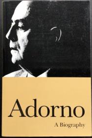 Stefan Müller-Doohm《Adorno: A Biography》