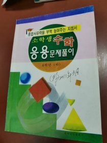 小学数学应用题大全 六年级下册 朝鲜文