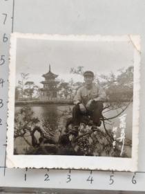 1969年中国人民解放军帅哥佩戴毛主席像章蹲在向湖心生长的树上泛银照片“西南留影”1.远处不知是否大观楼(昆明女子中学杨振芳相/册)