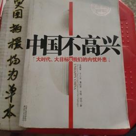 中国不高兴：大时代大目标及我们的内忧外患