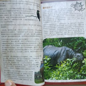 尼泊尔-中国航空旅游指南2007-2