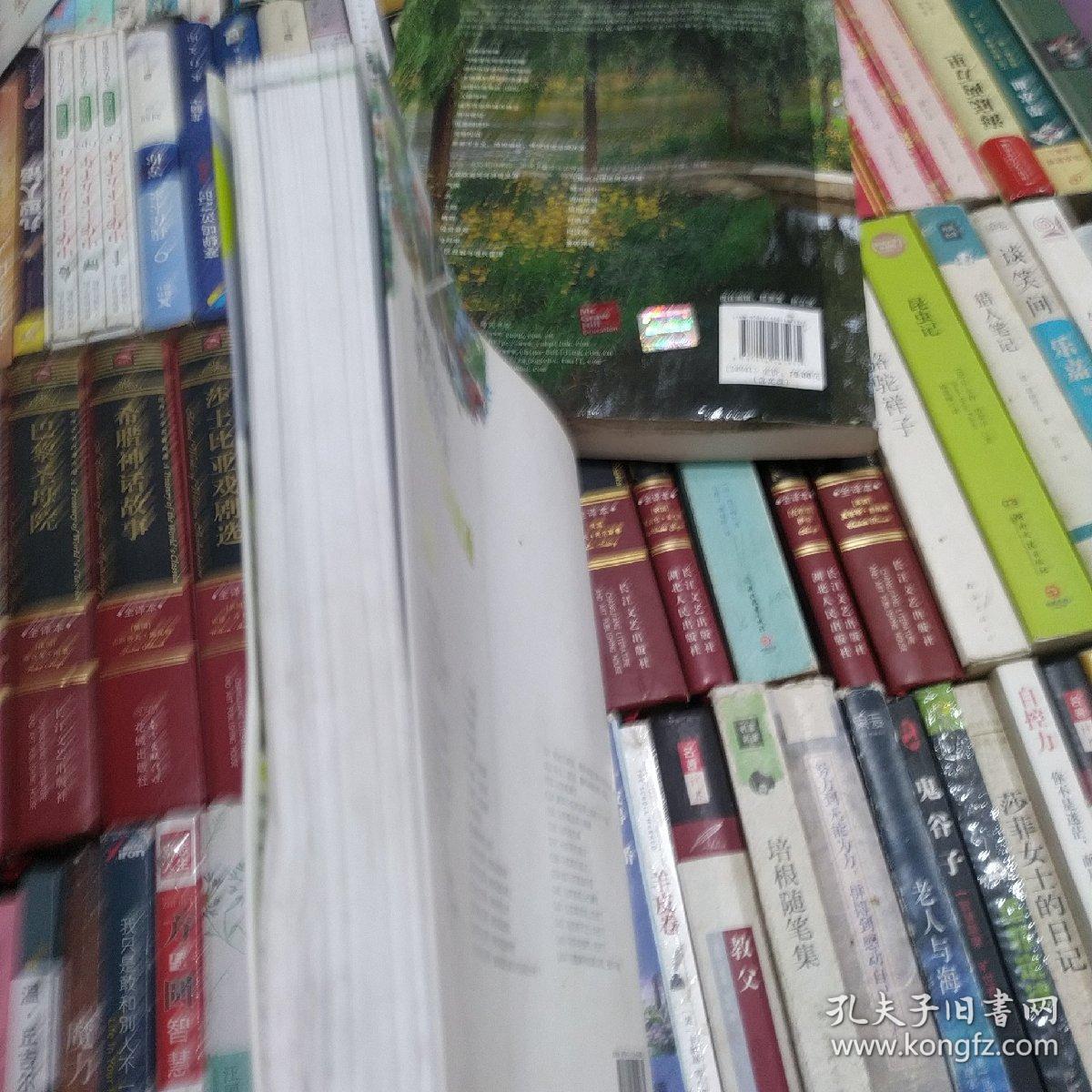 景观设计手绘技法从入门到精通