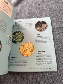 大户惊奇的宝藏（大英儿童百科地球冒险计划）