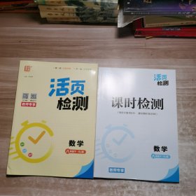 2024通成学典活页检测：数学 八年级下册【含副本/及参考答案如图】教师用书