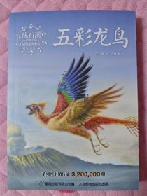 沈石溪动物小说感悟生命书系（修订版）·五彩龙鸟