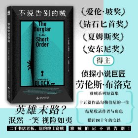 不说告别的贼 9787513357913