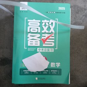 2025高效备考中考总复习数学30一本