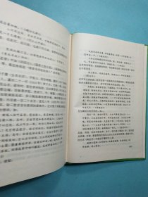 中国诗史（ 山东大学文史书系）精装本