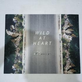 法拉利WILD AT HEART F8 SPIDER      画册散页   5张 1006