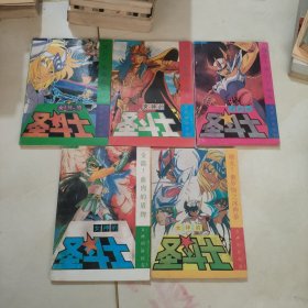 女神的圣斗士 女神的祈祷卷 （全五册）