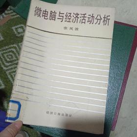 微电脑与经济活动分析