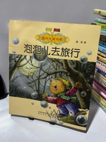 国内大奖书系：泡泡儿去旅行