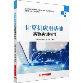 计算机应用基础实验实训指导 大中专理科计算机 作者