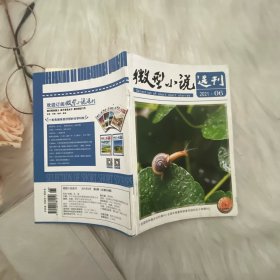 微型小说选刊2021年06