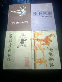 武术入门，石头拳术秘诀，少林拳法，少林武术:擒拿与解脱、火棍【四册合售】