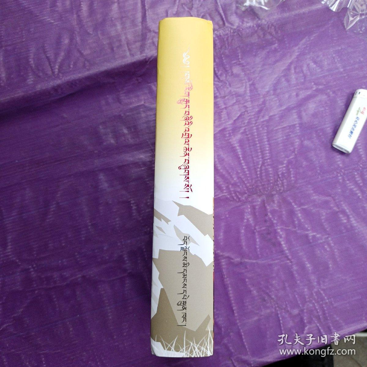 四部医典大详解(第3册) 藏文