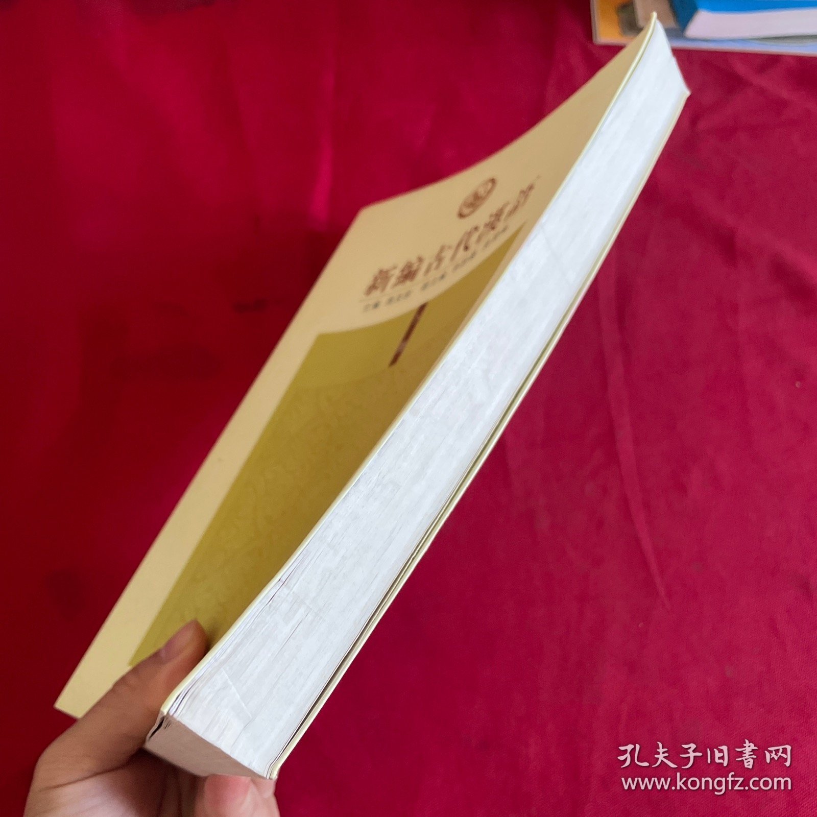 新编古代汉语（下）