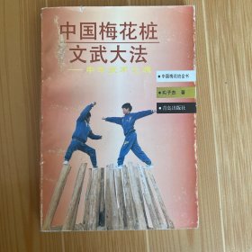 中国梅花桩文武大法:中华武术之魂