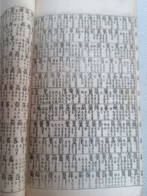 最早的石印本字典 光绪壬午（1882年）上海点石斋照相石印本《点石斋考正字汇》上下卷一册全。绿绫子书衣，巾箱原装品好。