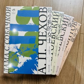 丘光译作：带小狗的女士 地下室手记 白夜 当代英雄