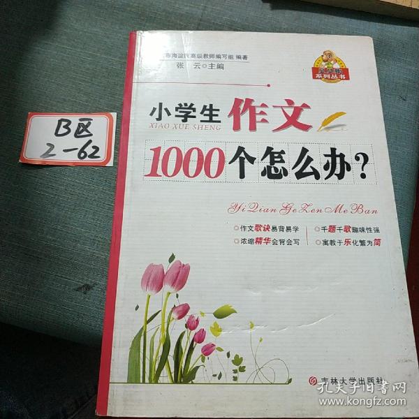 小学生作文1000个怎么办？