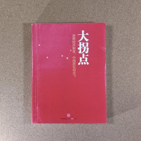 大拐点：世界经济裂变，中国路在何方？