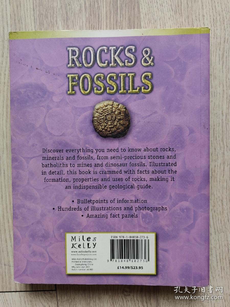 rocks & fossils