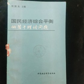 国民经济综合平衡的若干理论问题