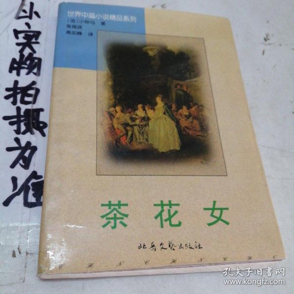 茶花女：世界中篇名著精选