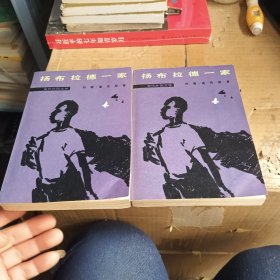 扬布拉德一家（上下册）