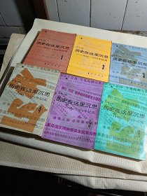 历史在这里沉思1966—1976年记实(全6册)