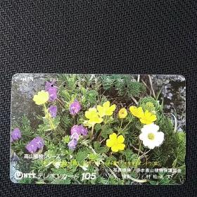 日本田村电话卡18～山梨县，高山植物