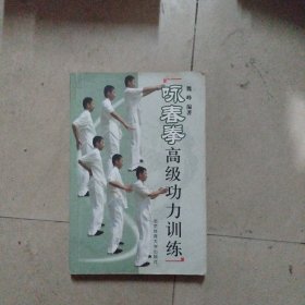 咏春拳高级功力训练